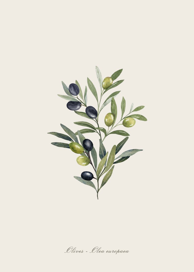 Torchon coton imprimé digital olive 50 x 70 cm