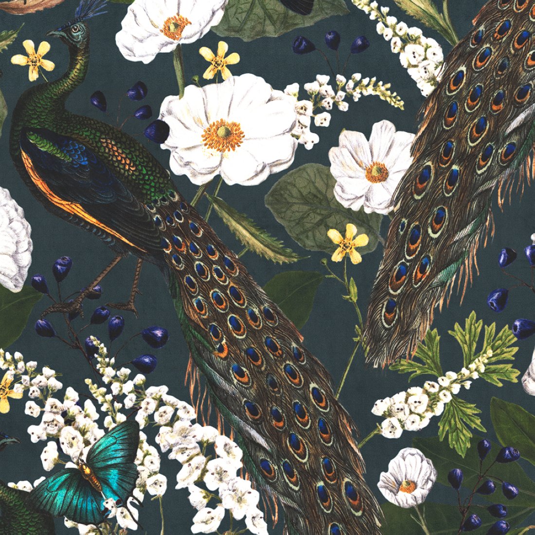 Tissu velours paon et papillon multicolore