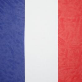 Ribbon Ruban Tricolore Tissu Bleu Blanc Rouge France Largeur Au Choix Vente Au Metre Crafts