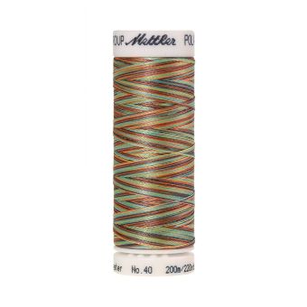 Fil à broder Mettler Poly Sheen multicolore 9974