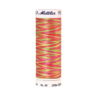 Fil à broder Mettler Poly Sheen multicolore 9914