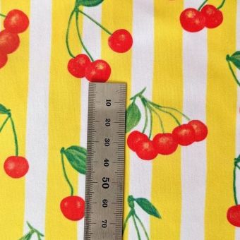 Tissu Maillot de Bain Lycra /Sherry Stripe