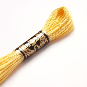Fil mouliné à broder - Tons jaunes/orangés - COL 744