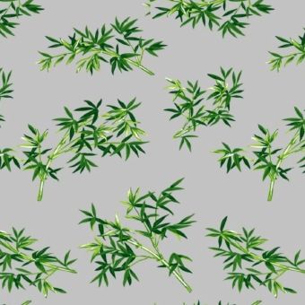 Nappe transparente imprimée BAMBOU vert