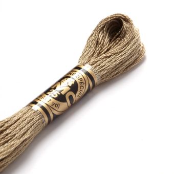 Fil mouliné à broder - Tons marrons - COL 3032