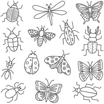 Tissu French Terry Insectes A Colorier, coupon 1m x laize (145cm)