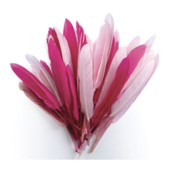 Graine Créative - Plumes d'indien pour activités enfant Camaieu rose 15cm