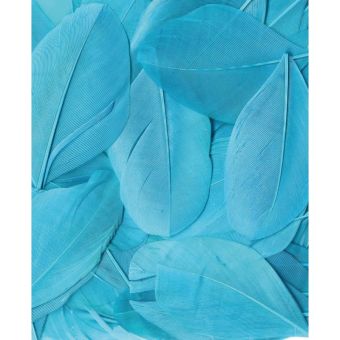PLUMES TURQUOISE - 6 CM