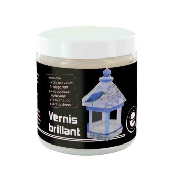 Vernis brillant spécial loisirs créatifs séchage rapide