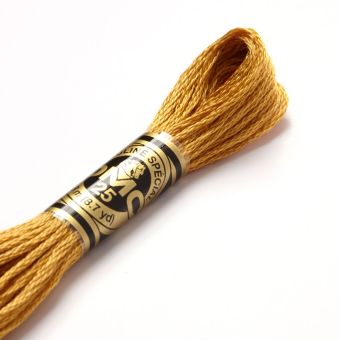Fil mouliné à broder - Tons jaunes/orangés - COL 729