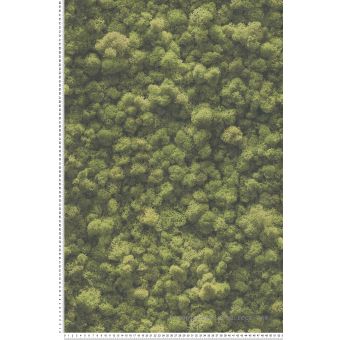 Papier peint Nature A.S. Création 394051