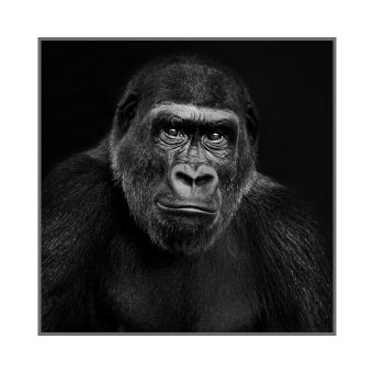 Carré simili cuir 44x44 cm tête de gorille