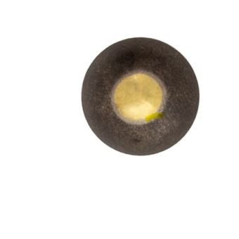 Clous tapissier bronze renaissance 20 mm - 50 pièces
