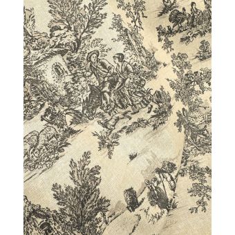 Tissu Coton Enduit Mini Pastorale Anthracite