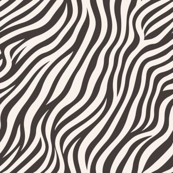 Tissu Impermeable Animal Zebre, coupon 1m x laize (155cm)