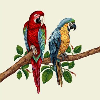 Carré de tissu jacquard perroquets colorés sur une branche 45 x 45 cm