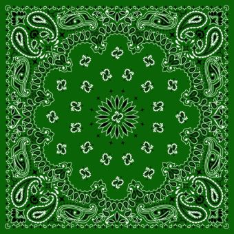 Tissu Impermeable Bandana Paisley 49 Vert Foret, coupon 1m x laize (155cm)