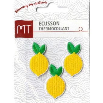 Patch Thermocollant Eagle – Écusson Brodé Noir MY AS* K*ss Pour Veste Personnalisée