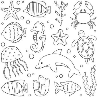 Tissu Jersey côtelé Monde Marin A Colorier, coupon 1m x laize (100cm)