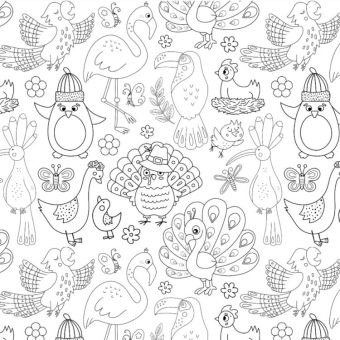 Tissu Double Gaze Oiseaux A Colorier, coupon 1m x laize (145cm)