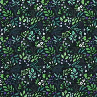 Tissu jersey coton bio botanique fleur Albstoffe