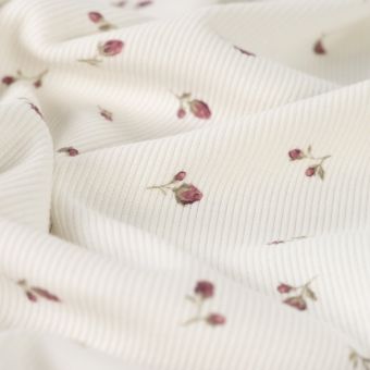 Maille jersey coton côtelée douce fleur écrue