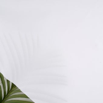 Tissu Burlington  blanc