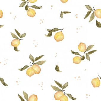 Tissu Softshell Fruits Citrons, coupon 1m x laize (145cm)