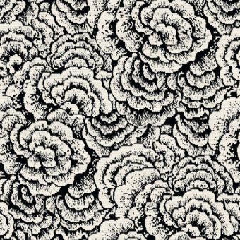 Tissu jacquard nimbus noir
