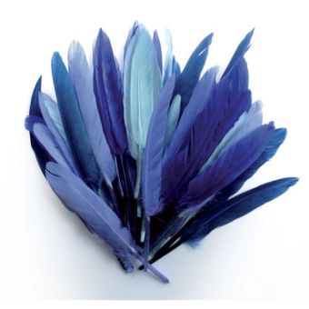 Graine Créative - Plumes d'indien pour activités enfant Camaieu bleu 15cm