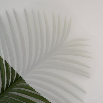 Tissu mousseline unie écrue