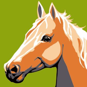LUC - Kit canevas Soudan Le cheval 20x20cm