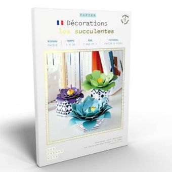 French kits décoration - Les succulentes