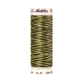 Fil à broder Mettler Poly Sheen multicolore 9976