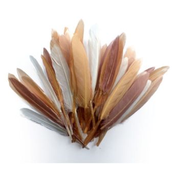 Graine Créative - Plumes d'indien pour activités enfant Camaieu beige 15cm