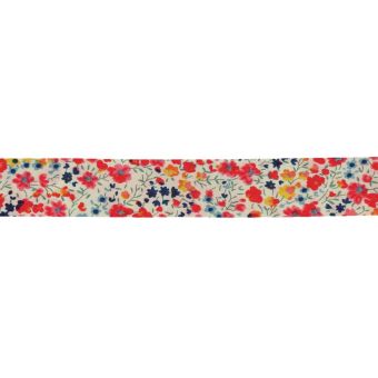 Biais Liberty 20mm Phoebe multicolore rouge