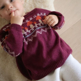 Patron tricot PDF Le pull jacquard – Filomène