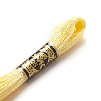 Fil mouliné à broder - Tons jaunes/orangés - COL 3078