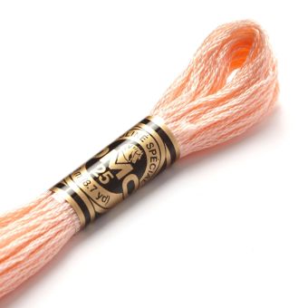 Fil mouliné à broder - Tons roses-violets - COL 967