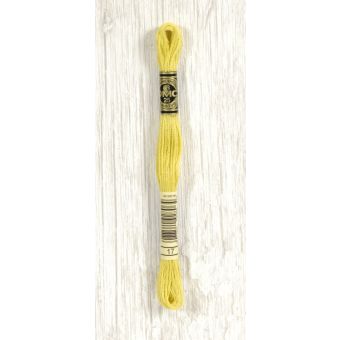 Fil mouliné Gold Concept jaune - COL 17
