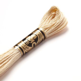 Fil mouliné à broder - Tons marrons - COL 739