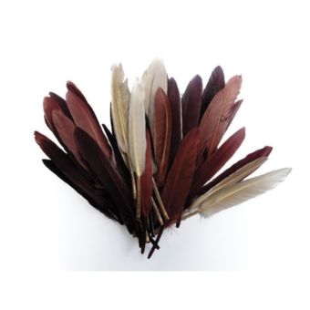 Graine Créative - Plumes d'indien pour activités enfant Camaieu chocolat 15cm