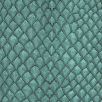 Cuir de Saumon SQUAMA Brut Sapin  large