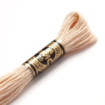 Fil mouliné à broder - Tons marrons - COL 951