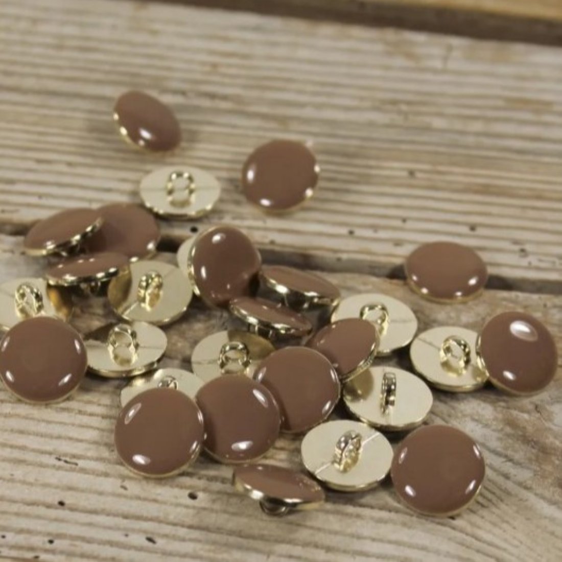 Lot de 5 boutons Chic 10 mm dune - Églantine et Zoé - Eglantine et Zoé - Mondial Tissus