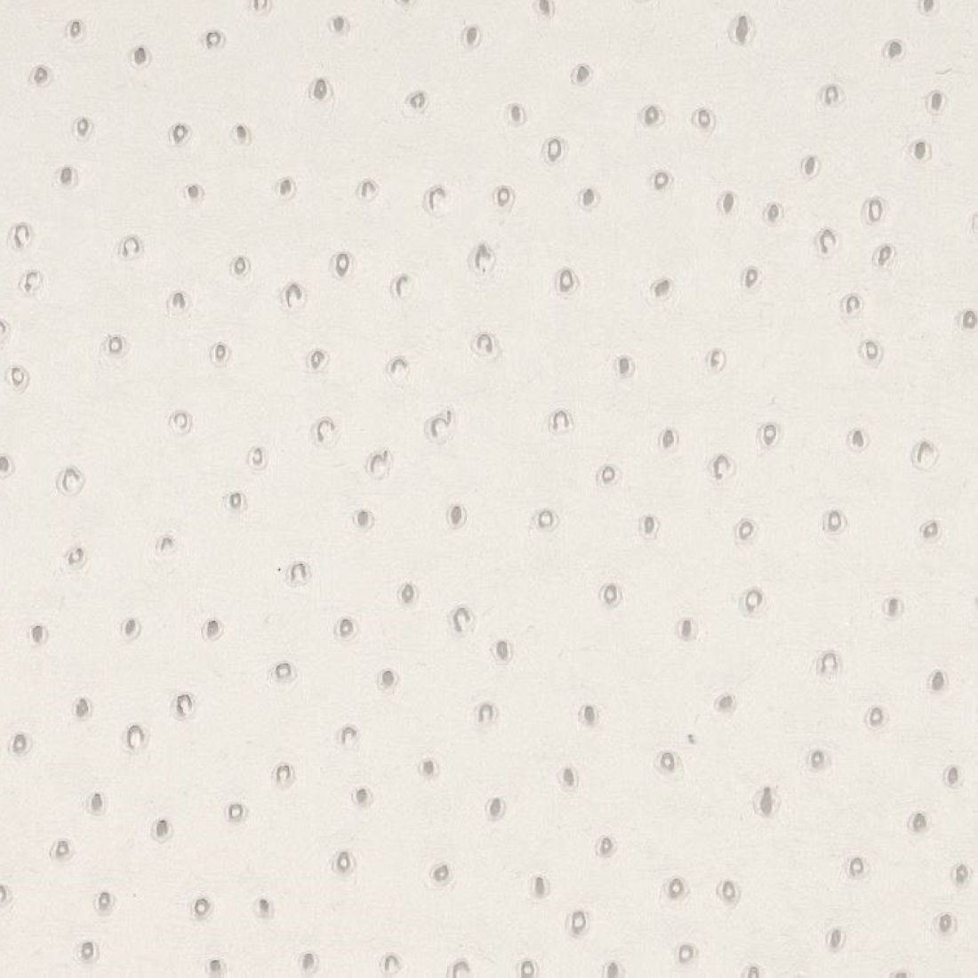 Tissu simili cuir piqué écru