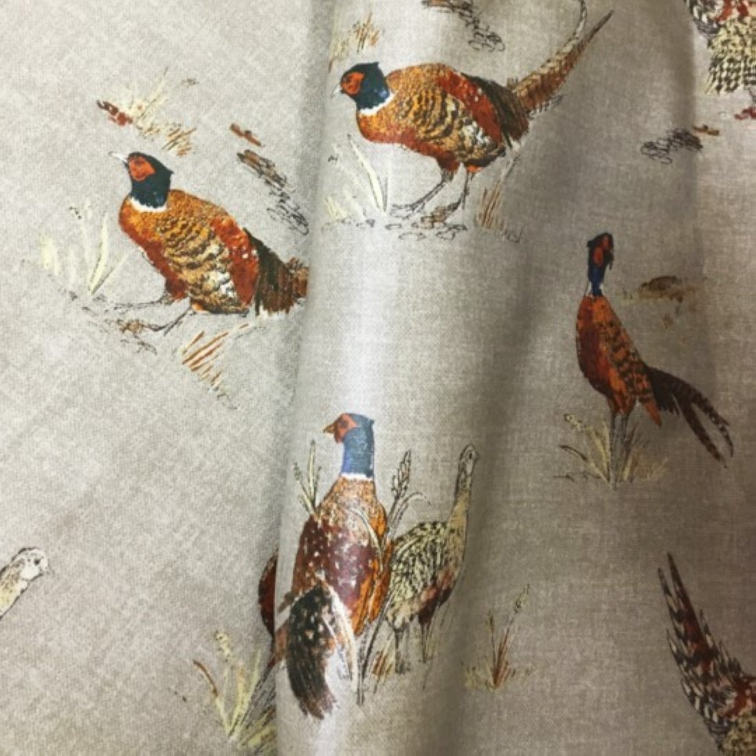 Tissu enduit faisans naturel